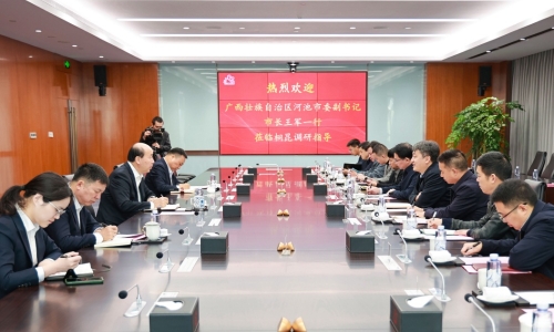 廣西壯族自治區(qū)河池市委副書記、市長王軍蒞臨桐昆